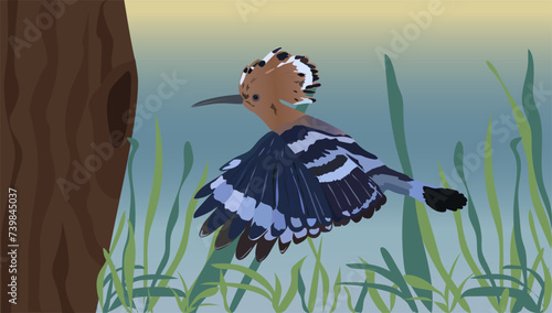 Hoopoe bird flies to a hollow in a tree in the forest, vector illustration EPS10
