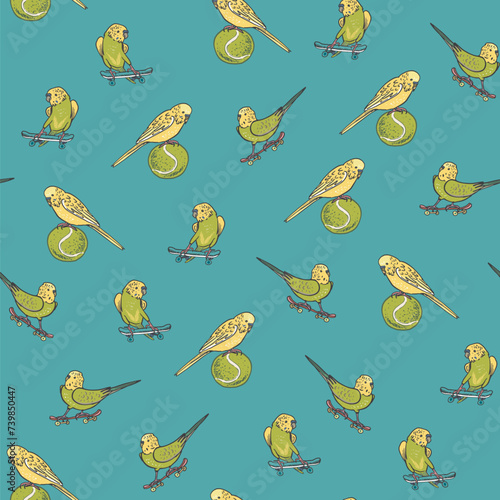Parrots budgerigar birds pets vector seamless pattern.