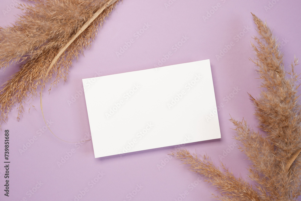Creative layout made of dry pampas grass reeds and paper card note on light purple background. Minimal, stylish, trend concept. Flat lay, top view, copy space. Creative layout made of dry pampas grass reeds and paper card note on light purple background. Minimal, stylish, trend concept. Flat lay, top view, copy space.