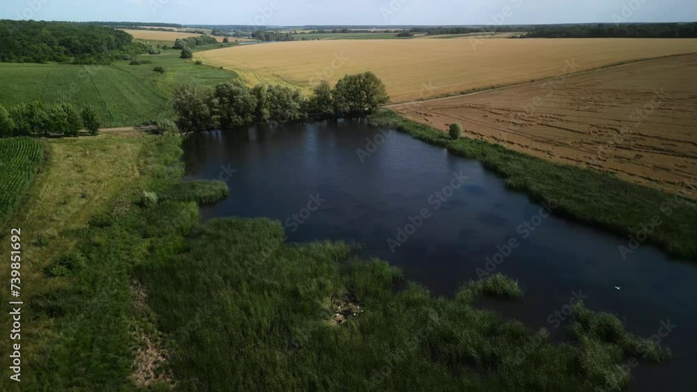 Lake Near Green Corn Field In Ukraine Aerial View Of Farmland Lake Near Green Corn Field In Ukraine Aerial View Of Farmland
