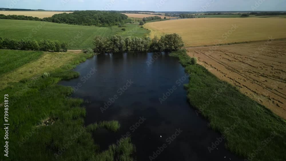 Lake Near Green Corn Field In Ukraine Aerial View Of Farmland Lake Near Green Corn Field In Ukraine Aerial View Of Farmland