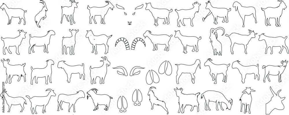 Goat outline collection, various goat poses, standing, walking, jumping. Perfect for logo design, branding, illustrations. Simple, detailed sketches, black white silhouette, graphic vector