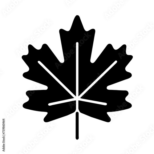 Maple leaf icon vector illustration