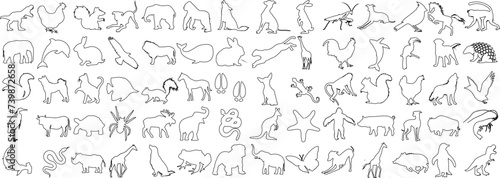 Animal coloring book line art on white background. Diverse wildlife outlines perfect for education, art, decoration. Includes elephant, dog, cat, bird, horse, fish, butterfly