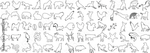 animal line art collection. Perfect for logos  tattoos  wall art. Features elephant  deer  bear. Simplistic designs  black outlines on white background