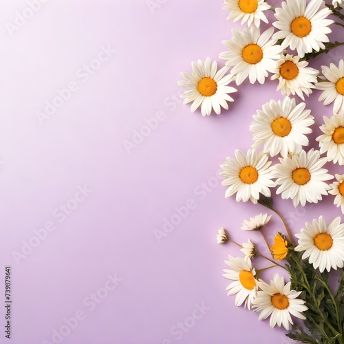 Chamomile flowers in a frame  highlighted in the background  top view. Mixed flower arrangements. A place to copy. Flowers for Mom. Wedding concept  Mother s Day  beautiful bridal bouquet  Birthday  V