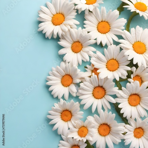 Chamomile flowers in a frame  highlighted in the background  top view. Mixed flower arrangements. A place to copy. Flowers for Mom. Wedding concept  Mother s Day  beautiful bridal bouquet  Birthday  V