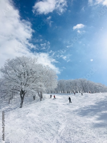 富良野のスキー場で楽しむスキー客