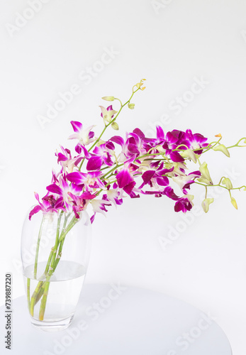 Vertical cose up of purple orchids in glass vase on white table against plain background (selective focus)