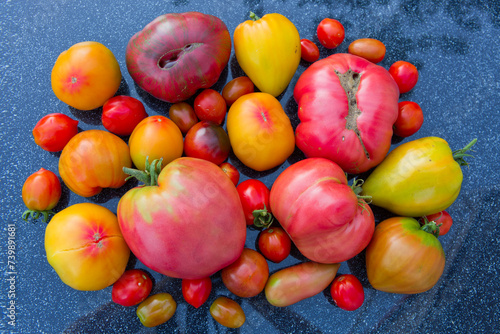 Group of colorful tomatoes from above  macro photography