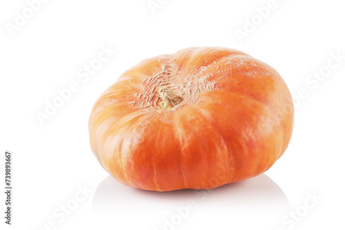 Raw pumpkin fruit isolated on white background. Low angle view.