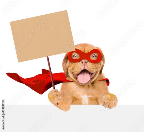 Funny Mastiff puppy wearing superhero costume holding blank banner mock up on wood stick and looking above empty white banner. Isolated on white background