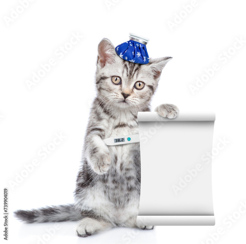 Sad sick kitten with ice bag or ice pack on his head holds a thermometer under the paw and shows empty list. Isolated on white background