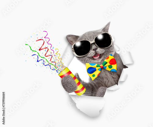 Happy cat wearing tie bow and sunglasses looks through a hole in white paper holds exploding firecracker © Ermolaev Alexandr