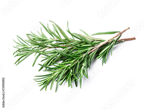 Rosemary twig on white backgrounds