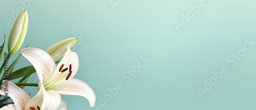 Minimalist blooming white Lily flower with leaf on soft green pastel colors background with space for text created with Generative AI Technology