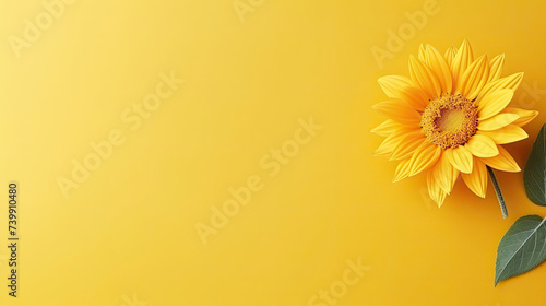 Minimalist single blooming Sunflower flower with leaf on soft yellow pastel colors background with space for text photo