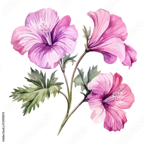 Watercolor painting of a purple flower named alcea isolated on white background. Vector.