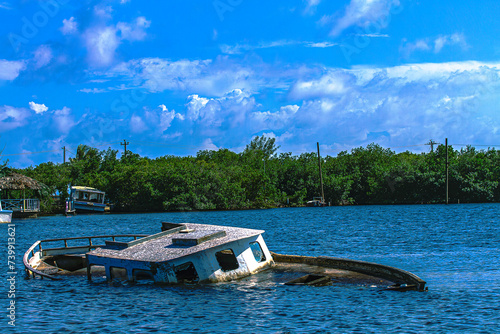 boat on the mangrove