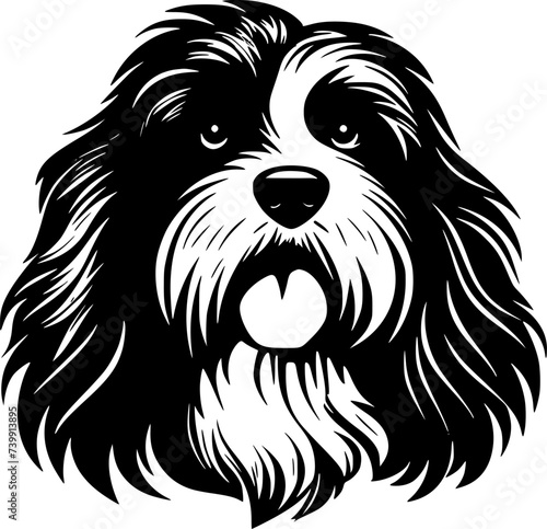Havanese - High Quality Vector Logo - Vector illustration ideal for T-shirt graphic