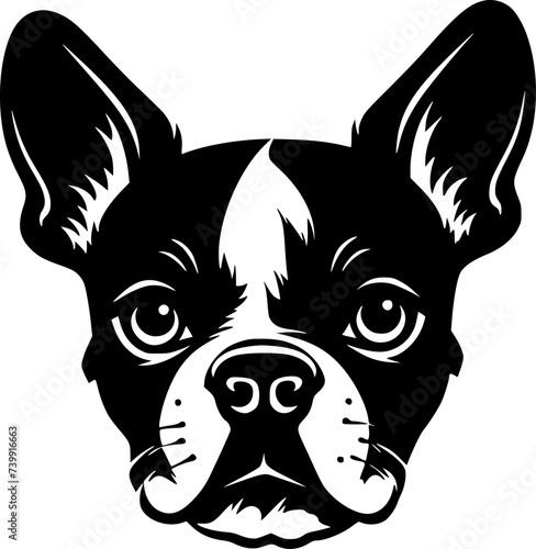 Boston Terrier - Black and White Isolated Icon - Vector illustration