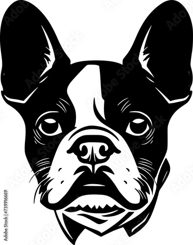 Boston Terrier - Black and White Isolated Icon - Vector illustration
