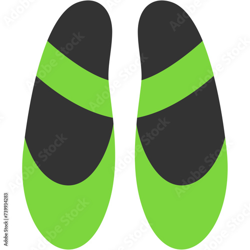 Ballet Flat Icon