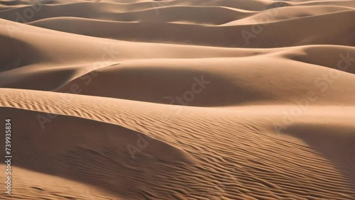 Vast Sand Dunes in the Desert photo