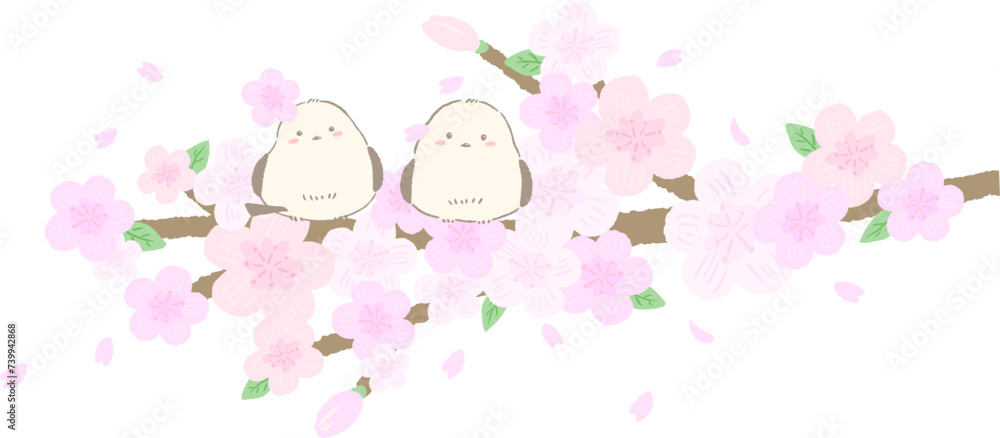 Shimaenaga(Long-tailed tit) perching on a cherry blossom branch, cute hand-drawn illustration / 桜の枝にとまるシマエナガ、かわいい手描きイラスト
