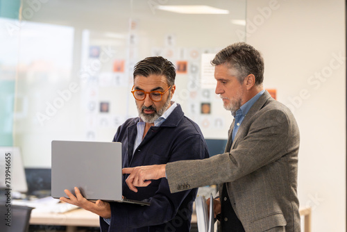 Two mature businessmen discuss work on a laptop in a modern coworking space, pointing at screen. 