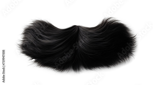 a fake mustache on a white background