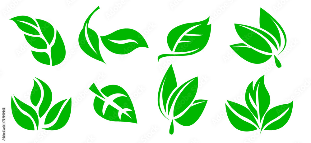 A set of green leaves on a white background, for logos, designs, for the symbolism of the green planet A set of green leaves on a white background, for logos, designs, for the symbolism of the green planet