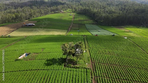 Jengkoang, a highland area filled with vegetable farming land. Green land in mountainous areas photo