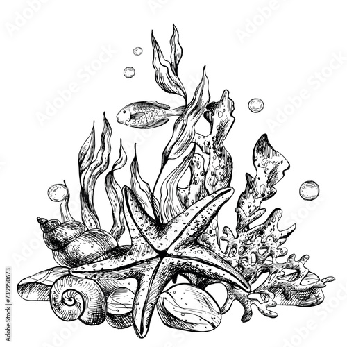 Underwater world clipart with sea animals starfish, fish, shells, coral and algae. Graphic illustration hand drawn in black ink. Composition EPS vector.