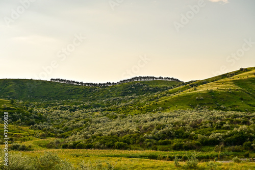 Typical green landscape with trees and mountains under blue sky near Berca in Buzău County, Wallachia, Romania