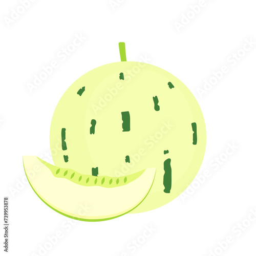 Dino melon whole fruit and slice isolated on white background. Ivory gaya melon with green dashed striations. Matisse melon icon. Vector illustration of exotic fruits in flat style. photo