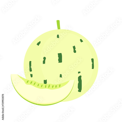 Dino melon whole fruit and slice isolated on white background. Ivory gaya melon with green dashed striations. Matisse melon icon. Vector illustration of exotic fruits in flat style.
