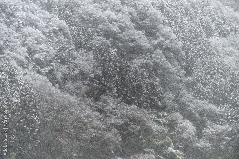 茨城県大子町の雪景色