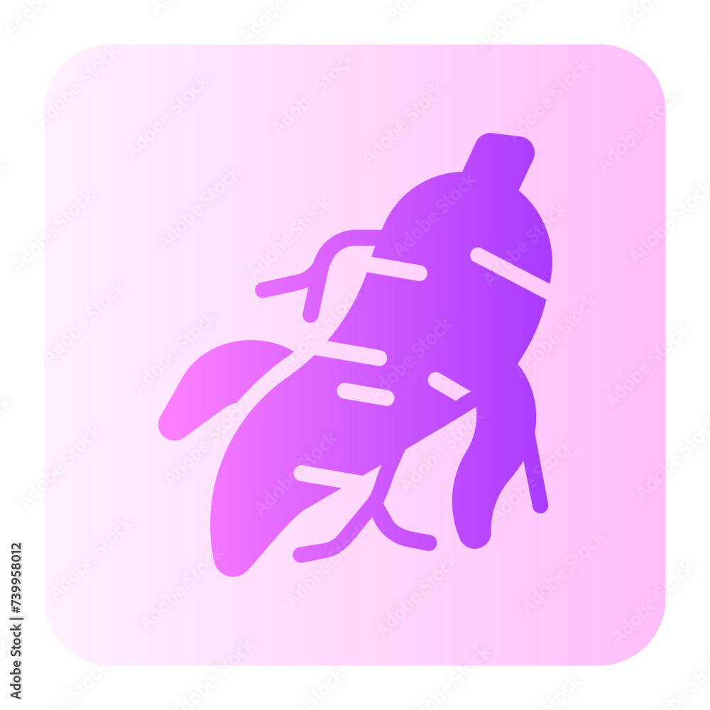 ginseng gradient icon ginseng gradient icon