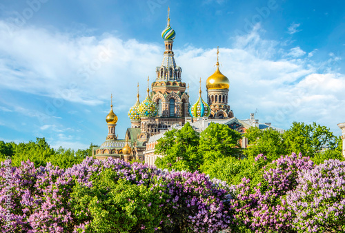 Spring Petersburg. Cathedral of the Savior on Spilled Blood in Saint Petersburg, Russia photo