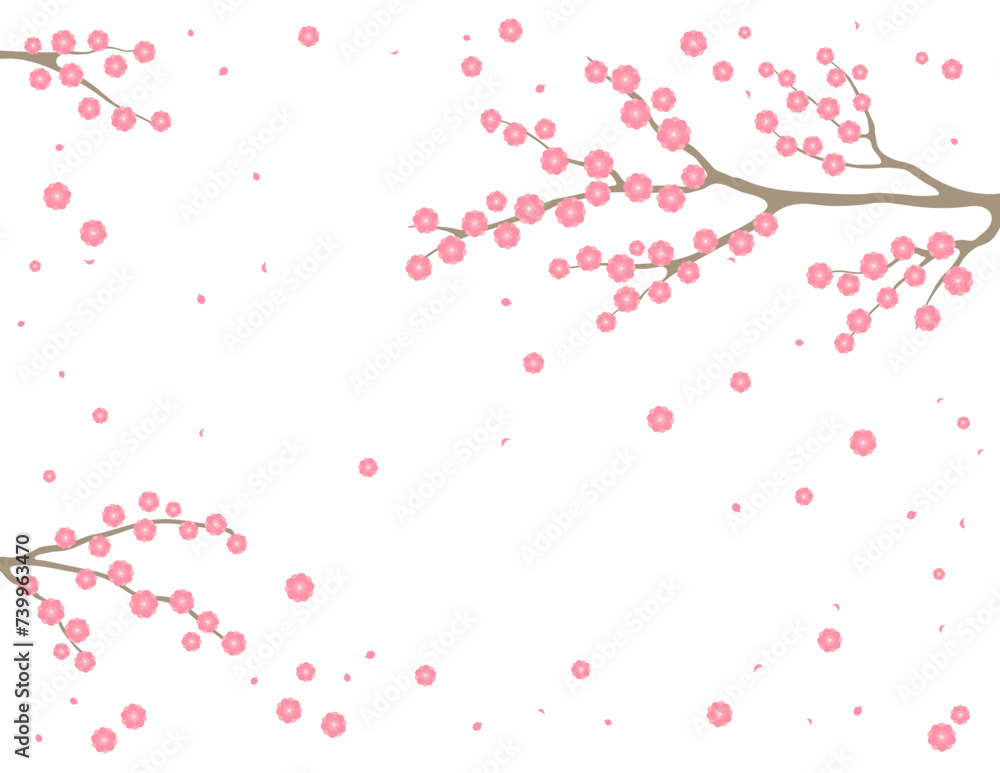 Cherry, apple, plum blossoms, fruit tree branches in bloom, pink spring flowers on transparent background, copy space. Flat style vector illustration. Design concept seasonal poster, banner, promotion Cherry, apple, plum blossoms, fruit tree branches in bloom, pink spring flowers on transparent background, copy space. Flat style vector illustration. Design concept seasonal poster, banner, promotion
