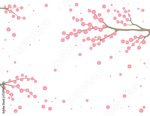 Cherry  apple  plum blossoms  fruit tree branches in bloom  pink spring flowers on transparent background  copy space. Flat style vector illustration. Design concept seasonal poster  banner  promotion