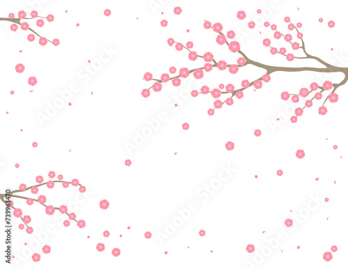 Cherry, apple, plum blossoms, fruit tree branches in bloom, pink spring flowers on transparent background, copy space. Flat style vector illustration. Design concept seasonal poster, banner, promotion