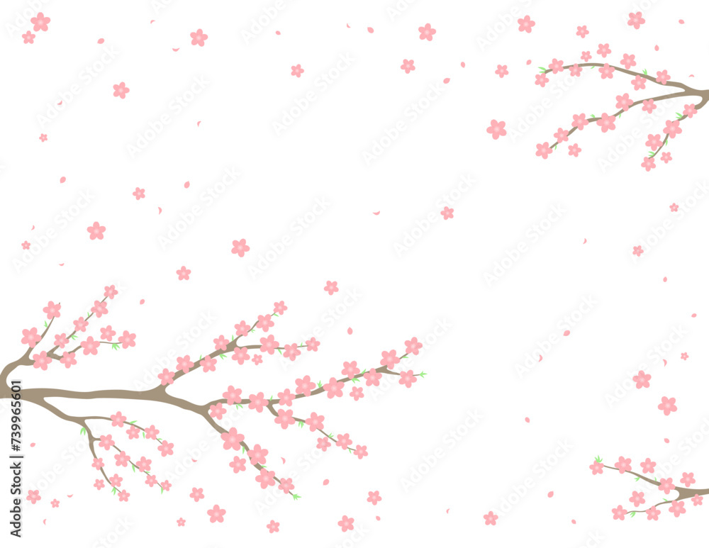 Cherry, apple, plum blossoms, fruit tree branches in bloom, pink spring flowers on transparent background, copy space. Flat style vector illustration. Design concept seasonal poster, banner, promotion Cherry, apple, plum blossoms, fruit tree branches in bloom, pink spring flowers on transparent background, copy space. Flat style vector illustration. Design concept seasonal poster, banner, promotion