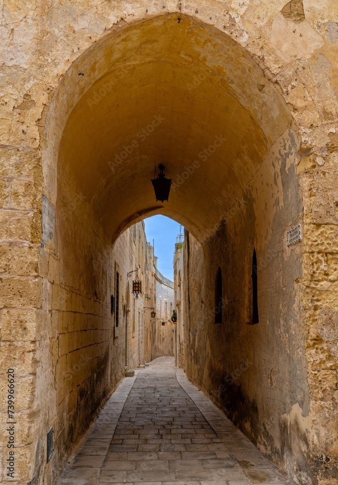 gate leading into a narrow alley in the old town of Medina