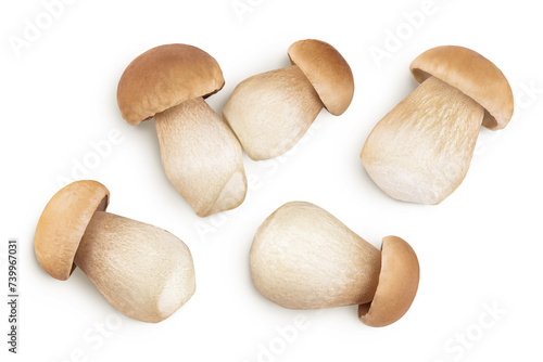 Fresh porcini cep mushroom isolated on white background. Top view. Flat lay photo