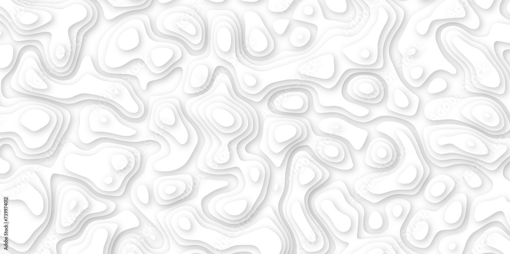 Abstract geometric layered curve line white background. 3d white papercut topography relief. Cover layout template. paper cut topography soft background banner texture. light liquid wave illustration Abstract geometric layered curve line white background. 3d white papercut topography relief. Cover layout template. paper cut topography soft background banner texture. light liquid wave illustration