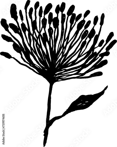 Hand Drawn Ink Wild Flower Silhouette