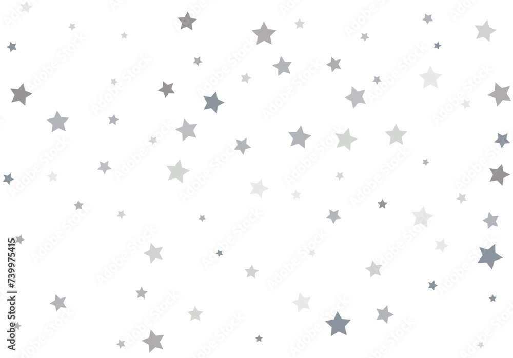 Bouquet of Silver Stars Bouquet of Silver Stars