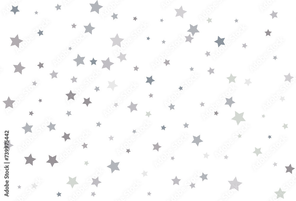Bouquet of Silver Stars Bouquet of Silver Stars